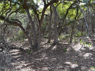 Primary bedroom at 223 Pleasant Valley Rd - Woodcreek Sec 9-A, Wimberley, TX