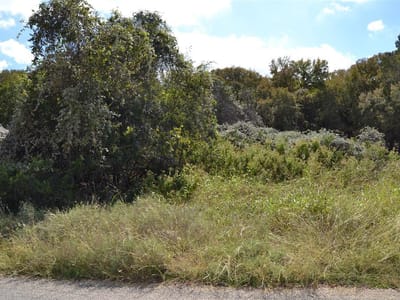 Bathroom at 223 Pleasant Valley Rd - Woodcreek Sec 9-A, Wimberley, TX