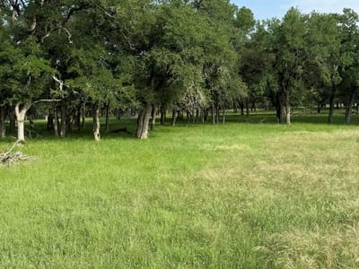 Property photo 2 at 2251 County Road 234 LN - Liveoak Park, Georgetown, TX