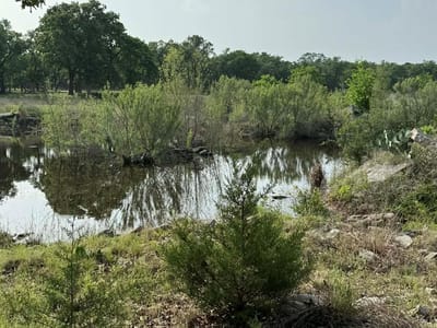 Property photo 3 at 2251 County Road 234 LN - Liveoak Park, Georgetown, TX