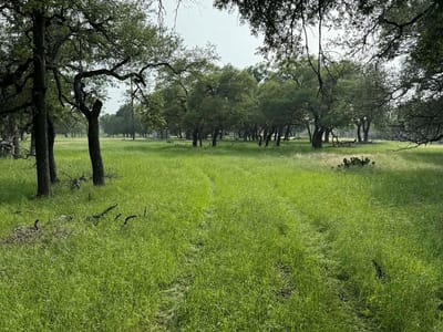 Property photo 5 at 2251 County Road 234 LN - Liveoak Park, Georgetown, TX