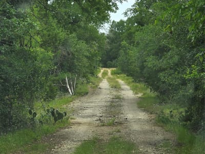 Photo 5 of 6 at 2301 Cr 307 - Jarrell, Jarrell, TX