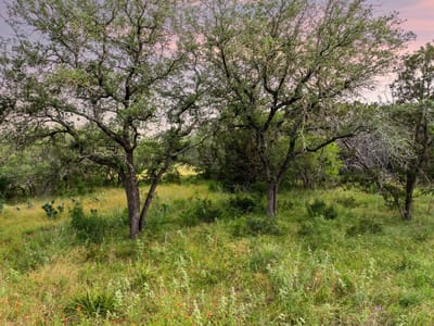 Property photo 2 at 2308 County Road 414 - A0976 - ALLISON WILLIAMS, Spicewood, TX