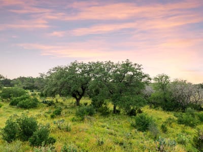 Property photo 5 at 2308 County Road 414 - A0976 - ALLISON WILLIAMS, Spicewood, TX