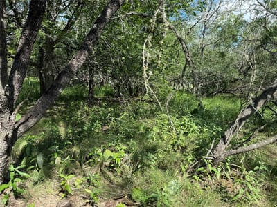 Property photo 3 at 232 Mokulua LN - Tahitian Village, Unit 5, Bastrop, TX
