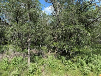 Property photo 3 at 236 Mokulua LN - Tahitian Village,, Bastrop, TX