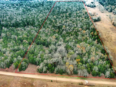 Property photo 2 at 24 acres CR 332 RD - Marshall, Elias, Paige, TX