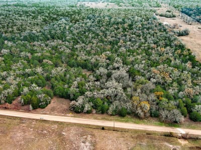 Property photo 3 at 24 acres CR 332 RD - Marshall, Elias, Paige, TX