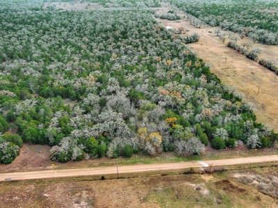 Property photo 5 at 24 acres CR 332 RD - Marshall, Elias, Paige, TX
