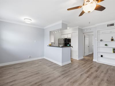 Living area at 2401 Manor Rd Unit #232 - 1 bed 1 bath home