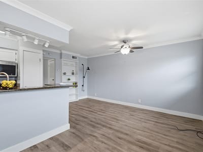 Primary bedroom at 2401 Manor Rd Unit #232 - 1 bed 1 bath home