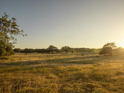 Photo 4 of 6 at 2427 Prochnow RD - Dripping Springs, Dripping Springs, TX