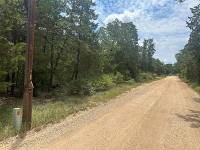 Property photo 2 at 246 Arrowhead DR - Lake Thunderbird, Smithville, TX