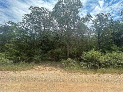 Property photo 3 at 246 Arrowhead DR - Lake Thunderbird, Smithville, TX