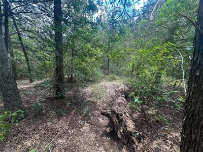 Property photo 4 at 246 Arrowhead DR - Lake Thunderbird, Smithville, TX