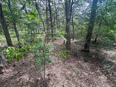 Property photo 5 at 246 Arrowhead DR - Lake Thunderbird, Smithville, TX