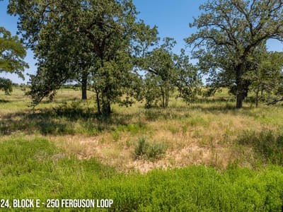 Living area at 250 Ferguson Loop - COOL WATER ACRES, Dale, TX