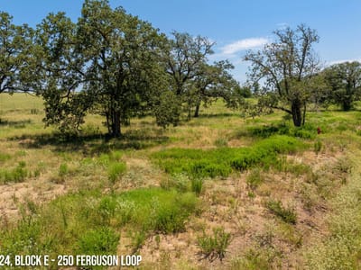 Primary bedroom at 250 Ferguson Loop - COOL WATER ACRES, Dale, TX