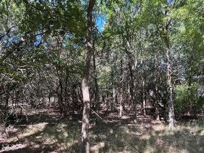 Primary bedroom at 250 Rolling Oaks Dr Unit #Lot 1 - Rolling Oaks Sec 2, Driftwood, TX