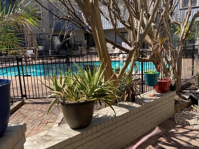 Living area at 2500 Steck Ave Unit #7 - 1 bed 1 bath home