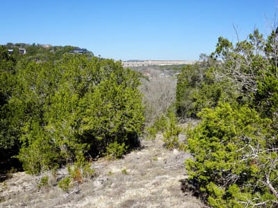 Living area at 2506 Geronimo TRL - Apache Shores Sec 02, Austin, TX