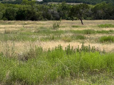 Primary bedroom at 251 Pioneer Trl - Pioneer Ranch Sec 1, Dripping Springs, TX