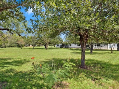 Property photo 2 at 255 Rosanky Cattle Co RD - 3 bed 2 bath home