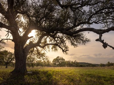 Property photo 3 at 2609 Prochnow Rd - None, Dripping Springs, TX
