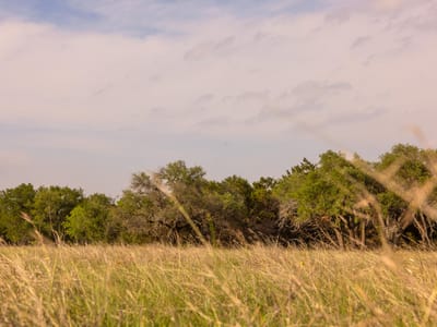 Property photo 5 at 2609 Prochnow Rd - None, Dripping Springs, TX