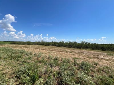 Primary bedroom at 2630 Cr 466 - Mendoza, Elgin, TX