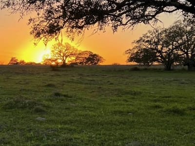 Property photo 3 at 265 Boulton Creek RD - NA, Flatonia, TX