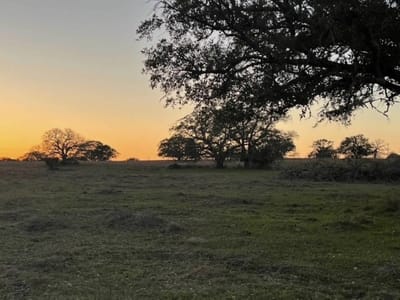 Property photo 4 at 265 Boulton Creek RD - NA, Flatonia, TX