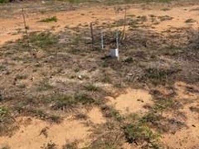 Primary bedroom at 268 CASA Rd - CASA SUBD, LOT 7, ACRES 1.022, Dale, TX