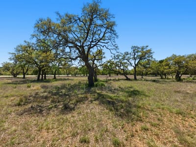 Living area at 268 Kinnikinik LOOP - Oak Ridge Park At Kinnicinik Sec 2, Austin, TX
