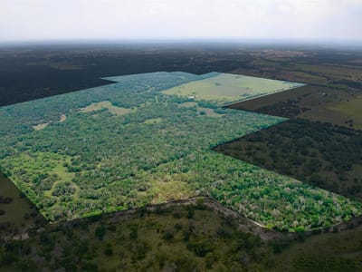 Aerial view with expansive land parcel at 2700 County Road 245 - 0, Florence, TX