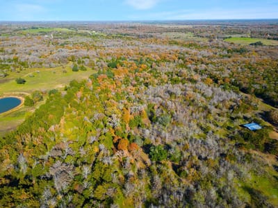 Property photo 3 at 272 Deadwood RD - Bymer, Bernard, Cedar Creek, TX