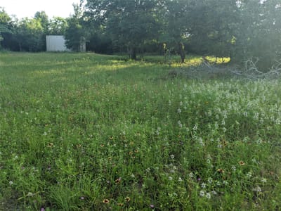 Property photo 4 at 272 Deadwood RD - Bymer, Bernard, Cedar Creek, TX