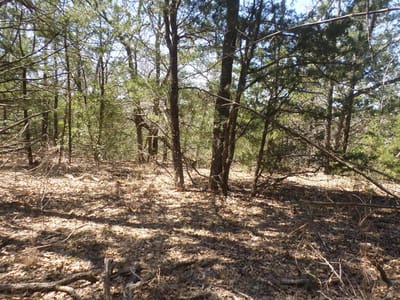 Primary bedroom at 273 Unit H Walter Hoffman RD Unit #H - Samuel French, Cedar Creek, TX