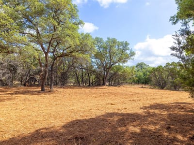 Primary bedroom at 275 Deer Run - Deer Run Estates, Wimberley, TX