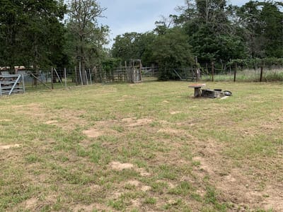 Living area at 276 Ott Rd - Heaven Woods, Rosanky, TX