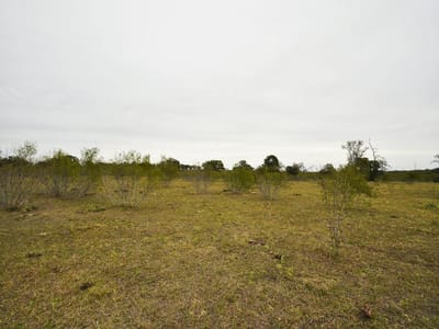 Kitchen at 277 FM 672 - Blalock, James B, Dale, TX