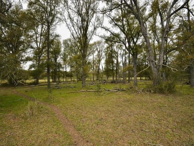 Primary bedroom at 277 FM 672 - Blalock, James B, Dale, TX