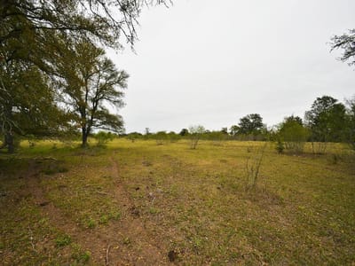 Bathroom at 277 FM 672 - Blalock, James B, Dale, TX