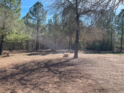 Property photo 4 at 278 Winfield Thicket RD - 3 bed 2 bath home