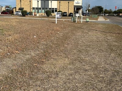 Living area at 290 Old San Antonio RD - Cabelas Sec Three, Block B, Lot 7C, Buda, TX