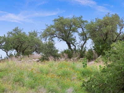 Primary bedroom at 292 N Scenic Hills CT - Majestic Hills Ranch, Blanco, TX