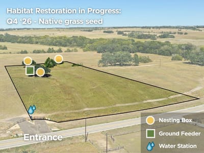 Photo 2 of 20 at 2955 FM 956 - Schulenburg, Schulenburg, TX