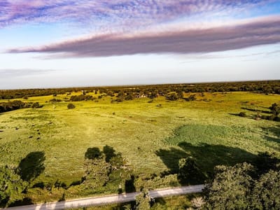Primary bedroom at 2993 County Road 320 - A079 Cook, Lexington, TX