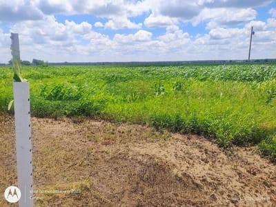 Living area at 3001 Dolphin (lot 2) DR - Rolling Meadows, Coupland, TX