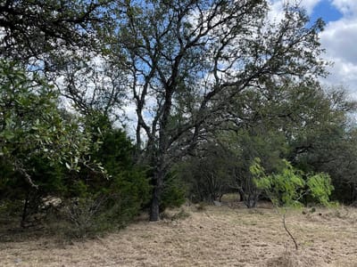 Primary bedroom at 302 Vista View TRL - Double Horn, Spicewood, TX